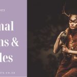 Introduction To Spirit Animals & Animal Totems