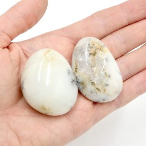 Opal, Dendritic Polished Gallet SML